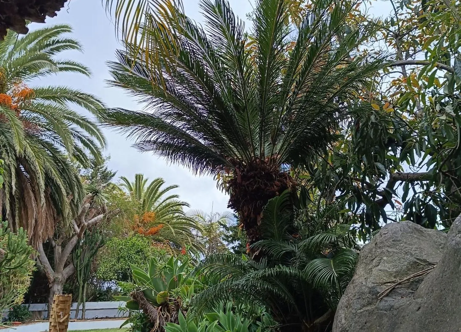 Villa Ilusion Tacoronte