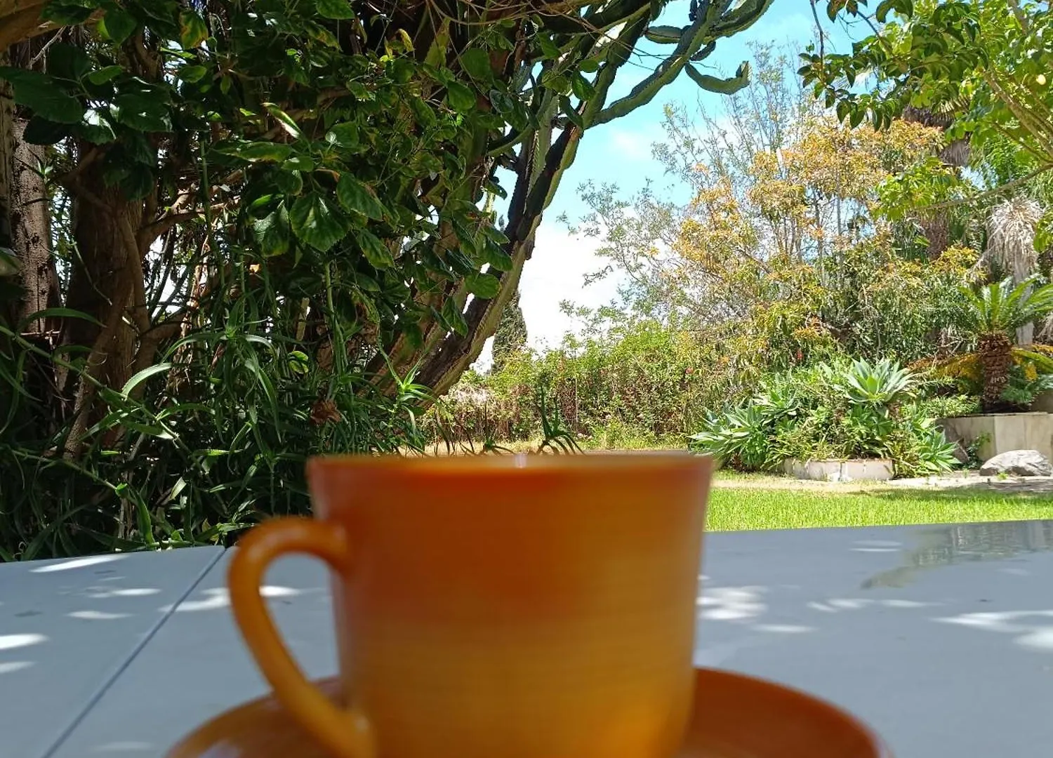 Villa Ilusion Tacoronte Apartament