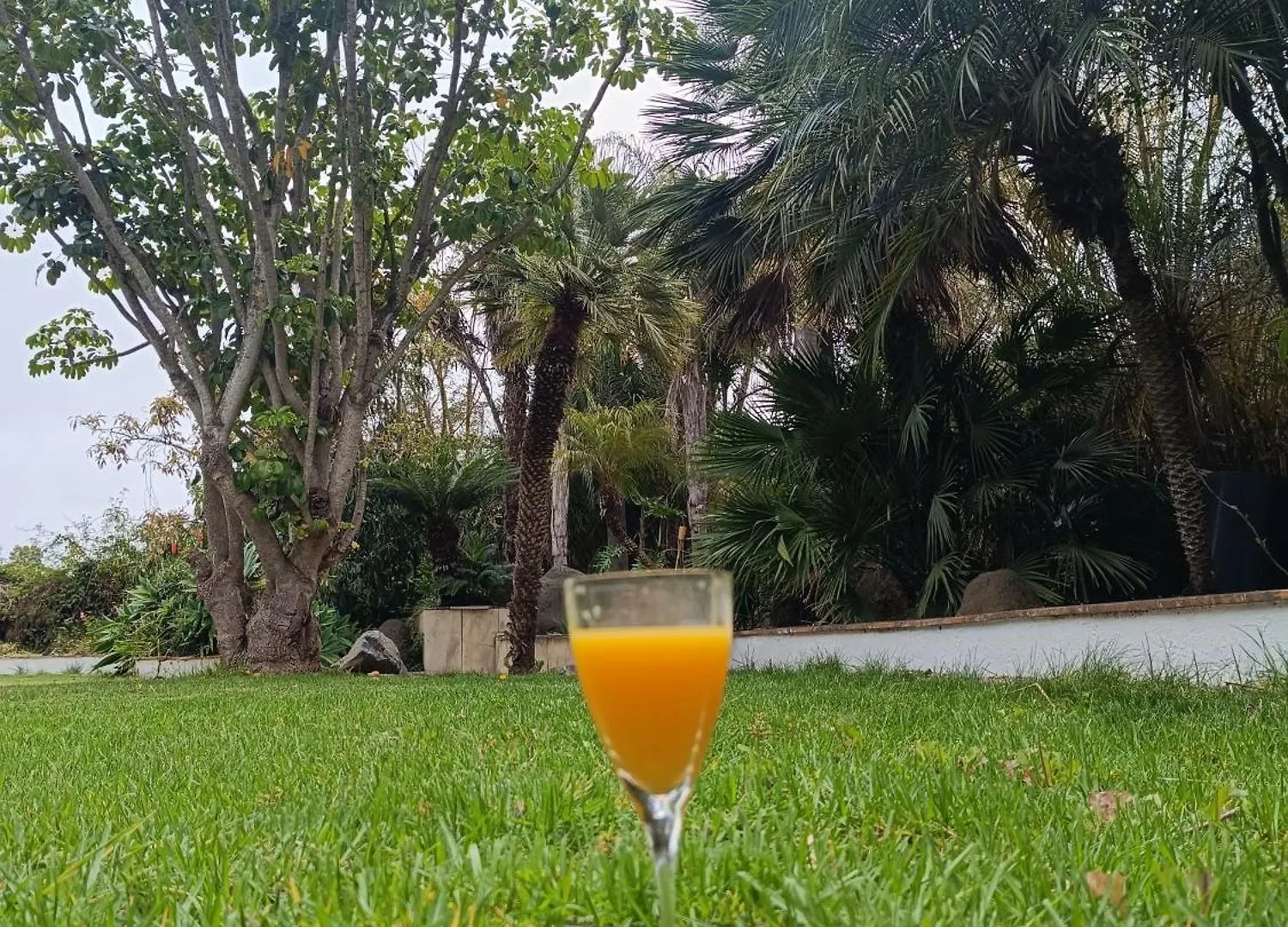 Villa Ilusion Tacoronte Apartament