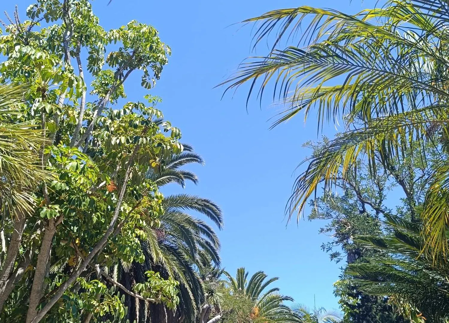 Villa Ilusion Tacoronte
