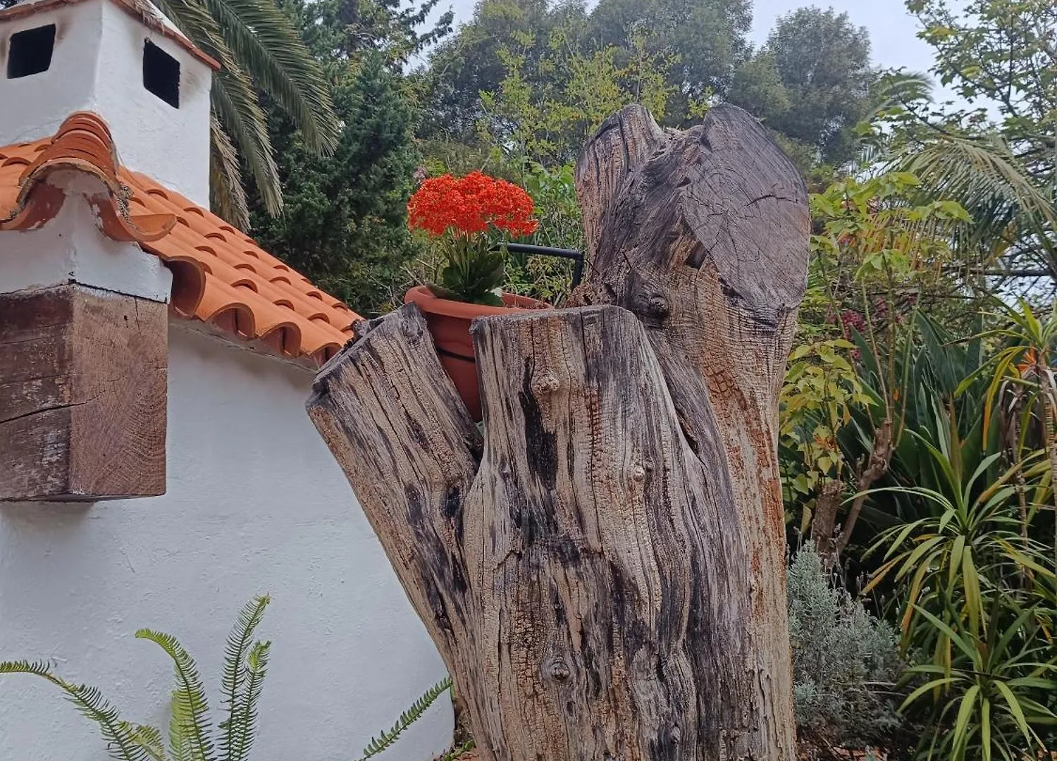 Villa Ilusion Tacoronte Apartament