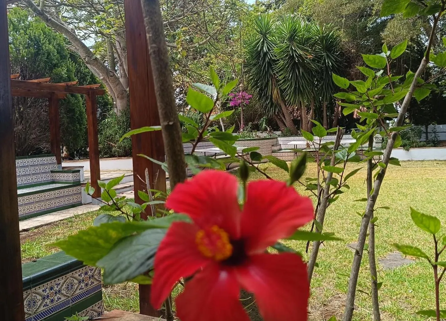 Villa Ilusion Tacoronte