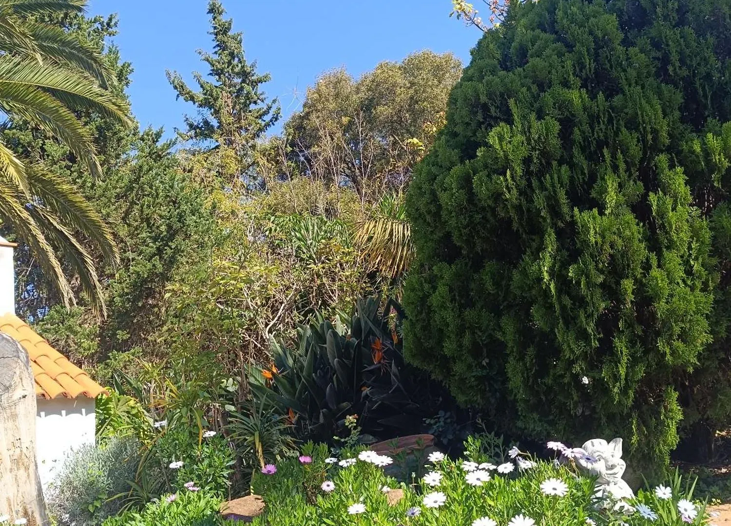 Apartament Villa Ilusion Tacoronte