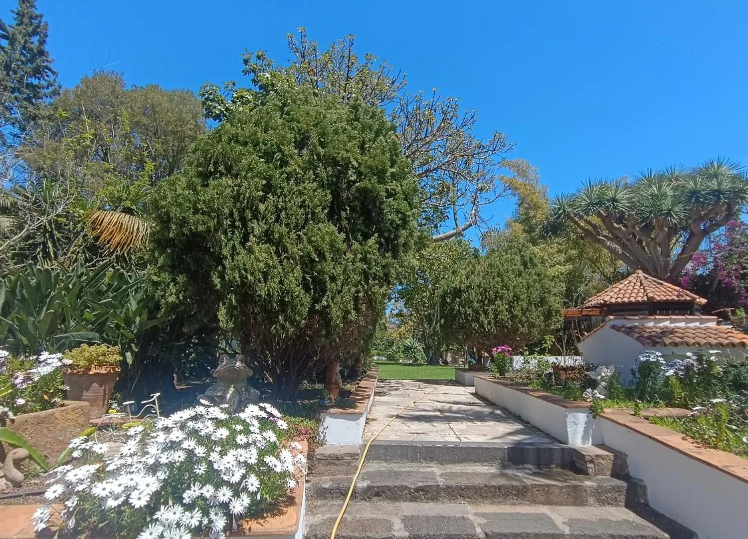 Villa Ilusion Tacoronte Apartament